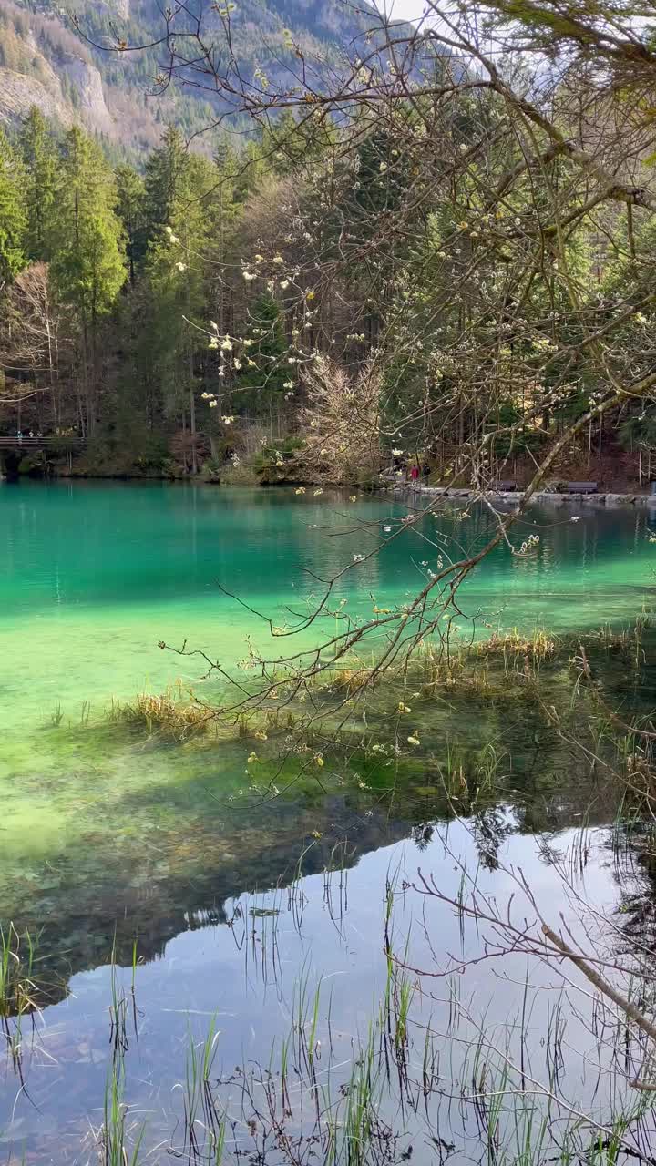 Blausee湖清澈的水景。视频素材