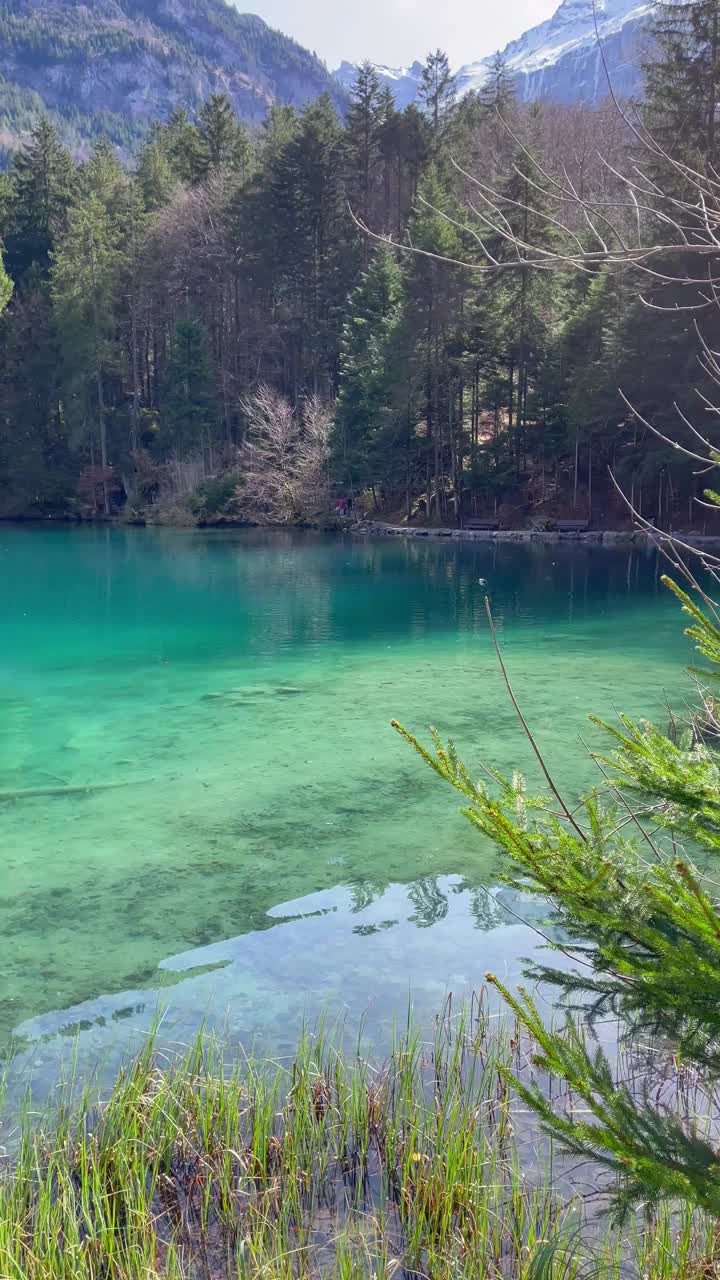 Blausee湖清澈的水景。视频下载