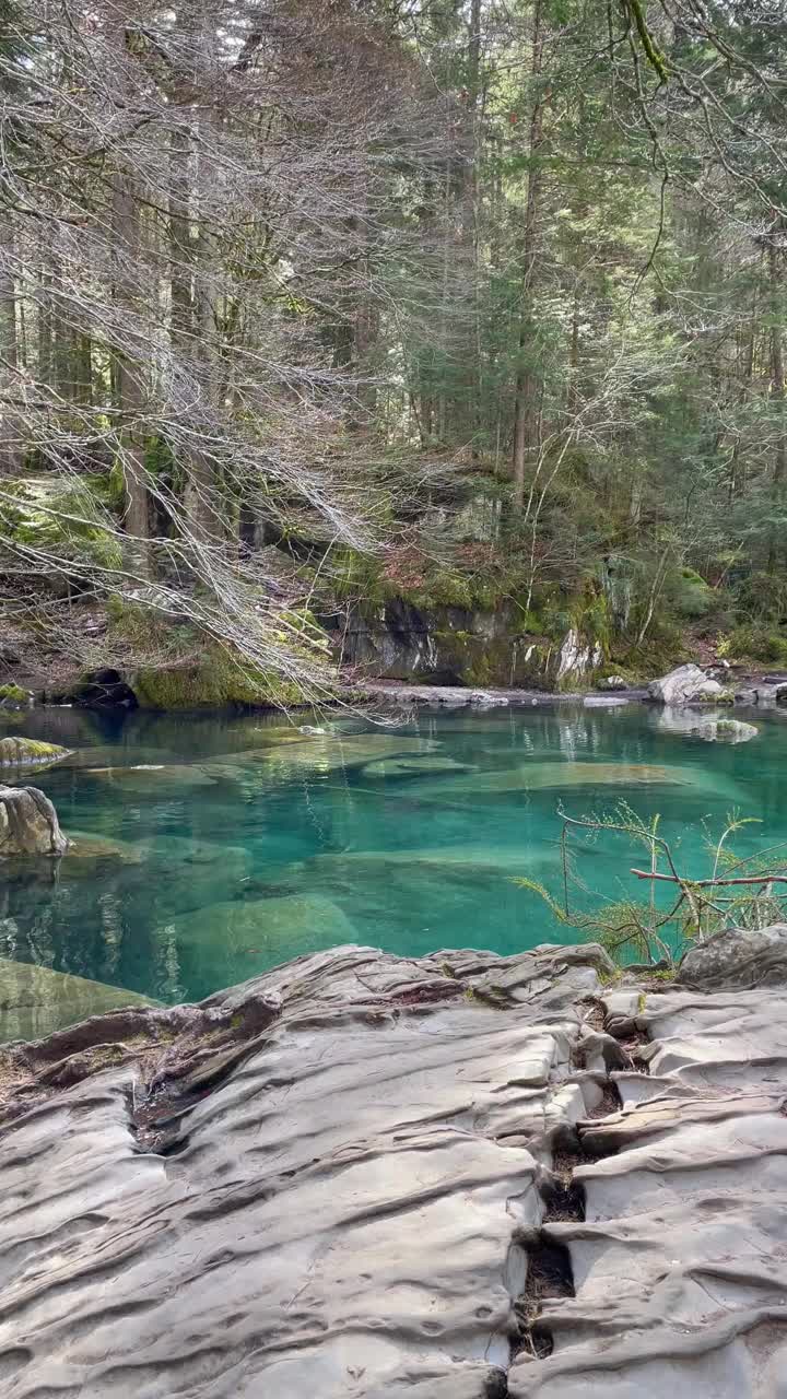 Blausee湖清澈的水景。视频下载