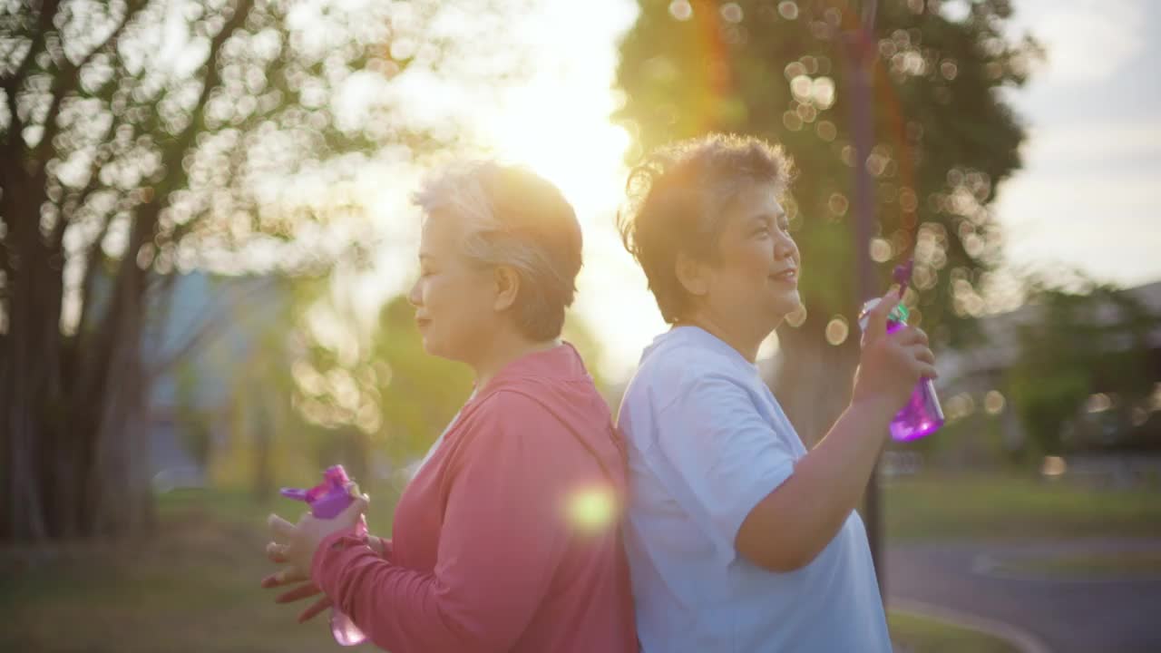 4K一群开朗活跃的老年妇女在公园一起锻炼视频素材