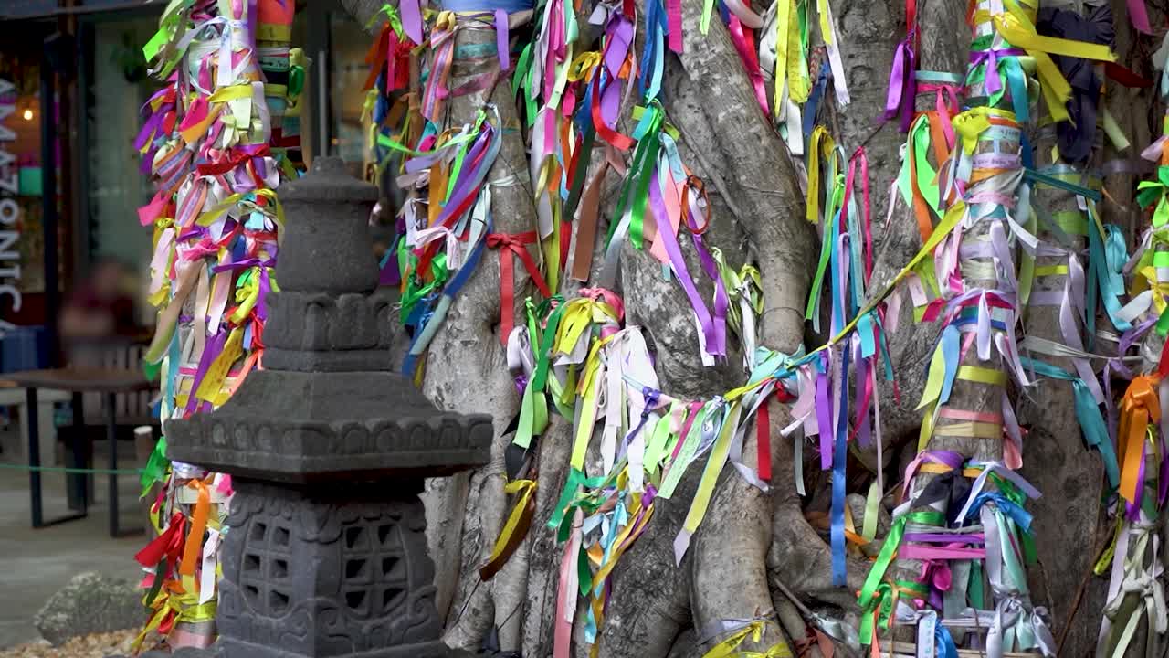 一根树枝，装饰着五颜六色的丝带，在自然光线下优雅地摇摆。视频素材