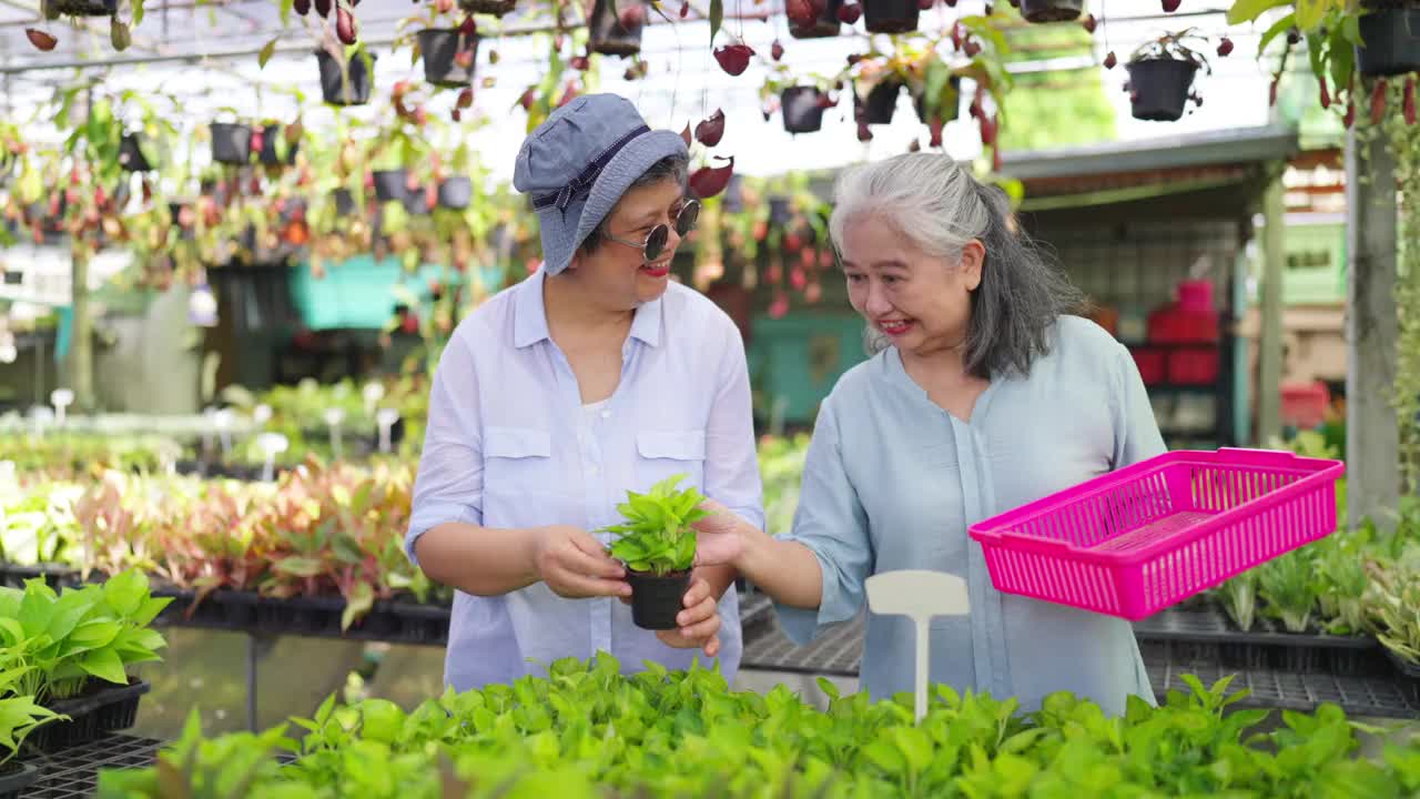 一群欢快的亚洲老年妇女一起在街市购物。视频素材