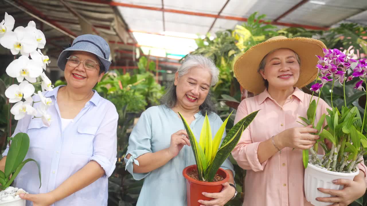 在街头市场的植物店前，欢快的亚洲老年妇女手持花盆的4K肖像组。视频下载