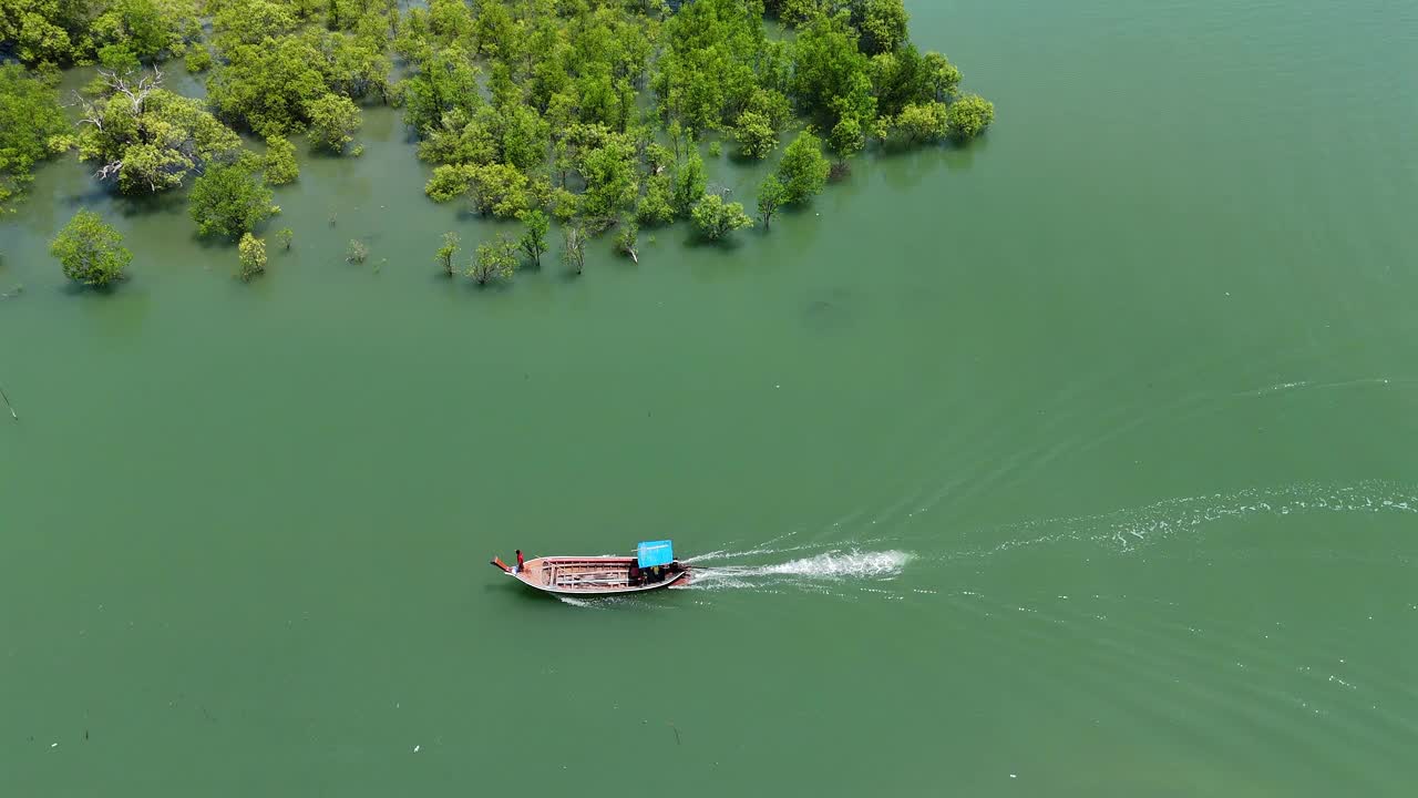 红树林栖息地视频素材