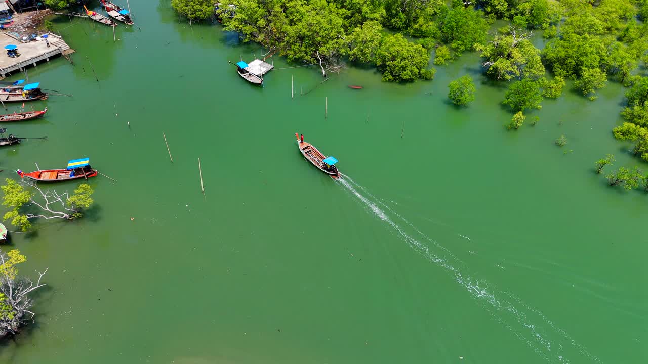 红树林栖息地视频素材