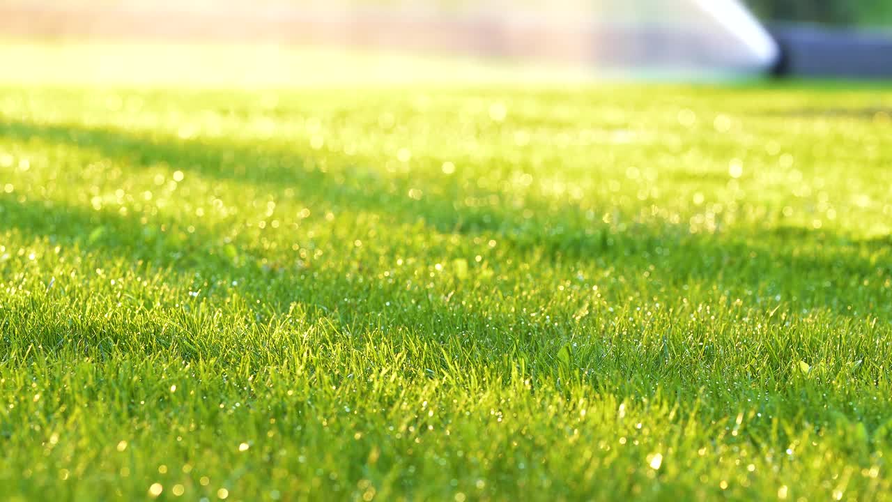 日落时分，夏日花园的塑料洒水车用水灌溉草地。在旱季给绿色植物浇水以保持其新鲜。视频素材