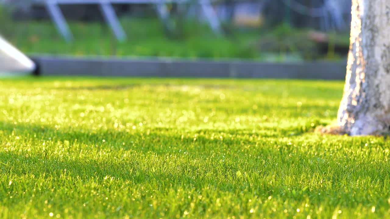 日落时分，夏日花园的塑料洒水车用水灌溉草地。在旱季给绿色植物浇水以保持其新鲜。视频素材