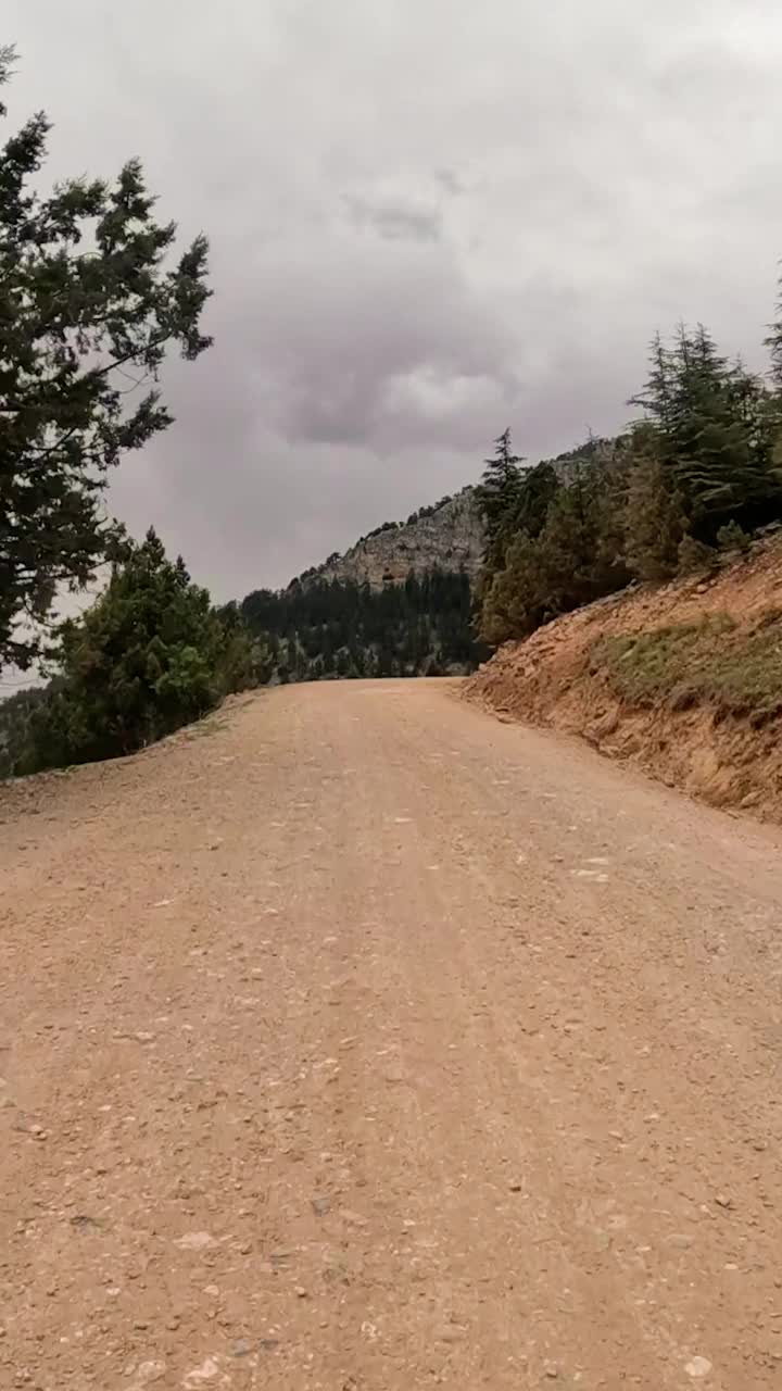 沿着一条两旁耸立着参天大树的土路踏上旅程，当你在宁静而风景如画的风景中穿行时，你会看到蜿蜒的小路视频素材