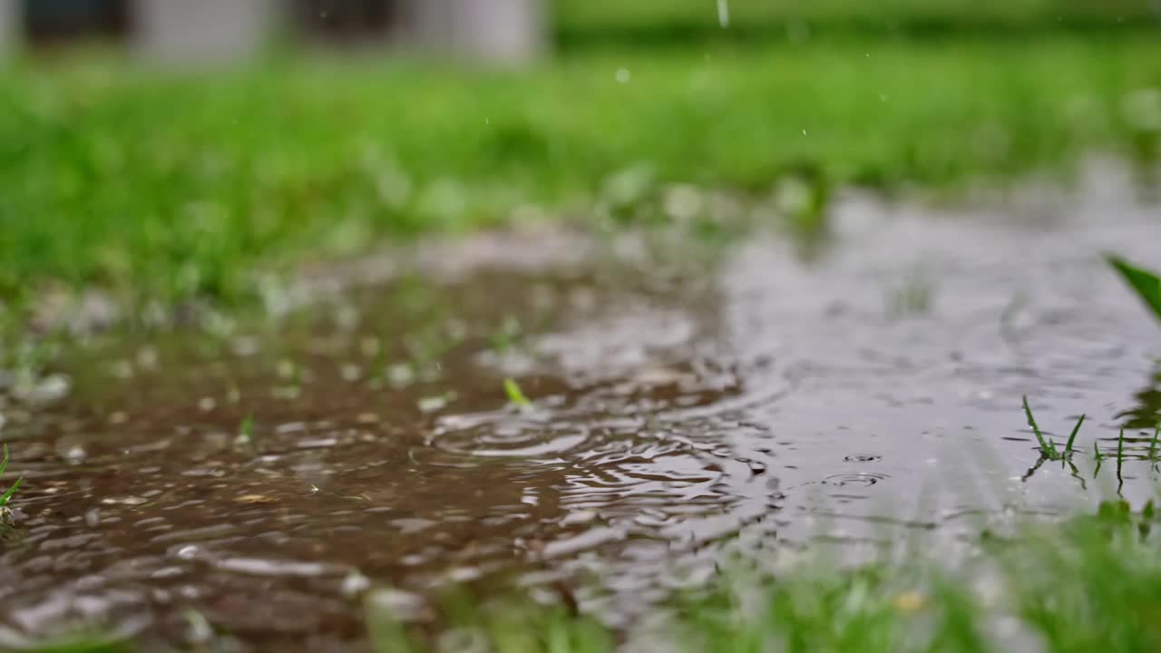 雨中草地周围泥泞水坑中的雨滴的慢镜头特写视频素材