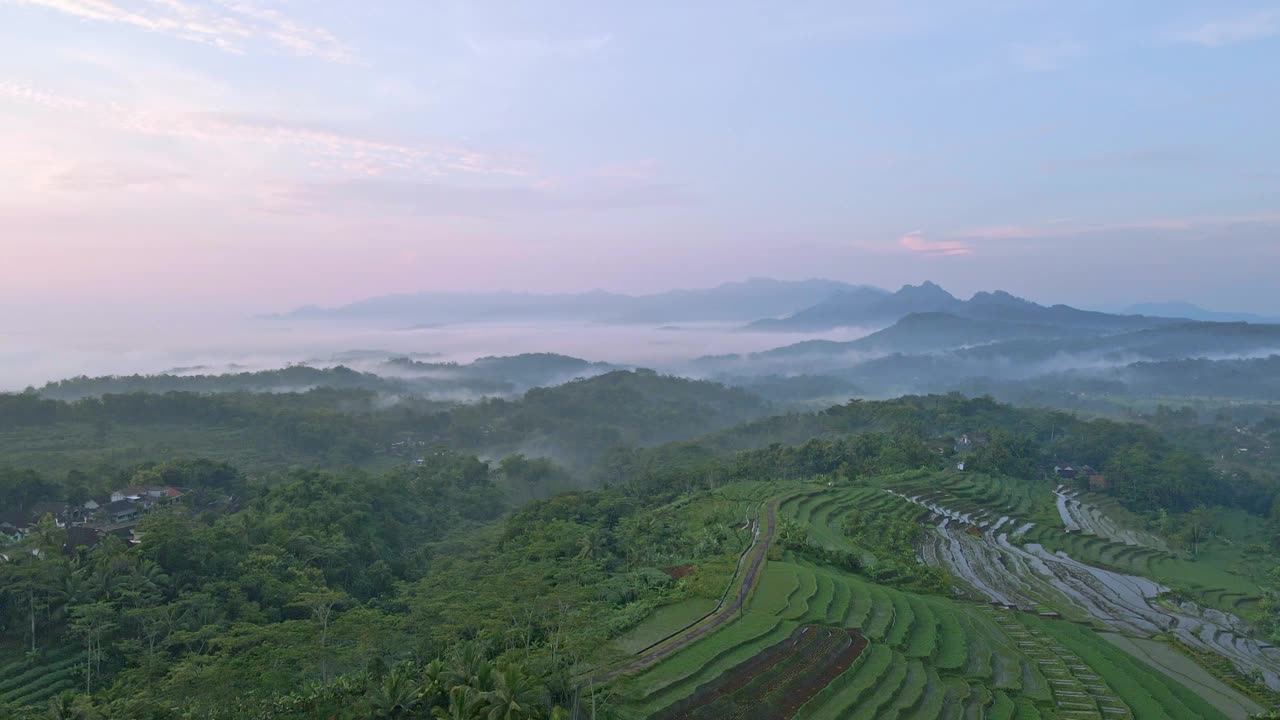 在阴天飞越印度尼西亚的梯田丘陵和绿色景观。视频素材
