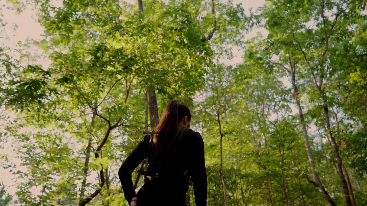 一个女人站在森林里，仰望天空视频下载