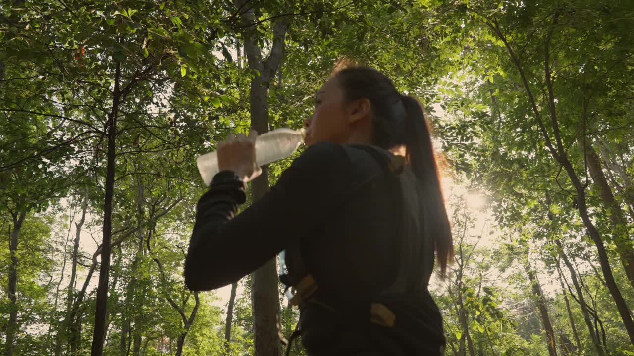 一个女人正在森林里喝水视频下载