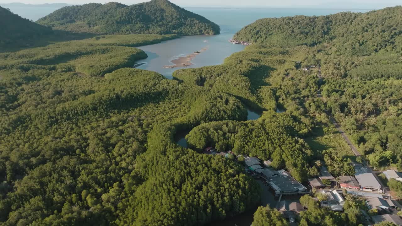 鸟瞰图红树林热带雨林的海岛与绿色的树视频素材