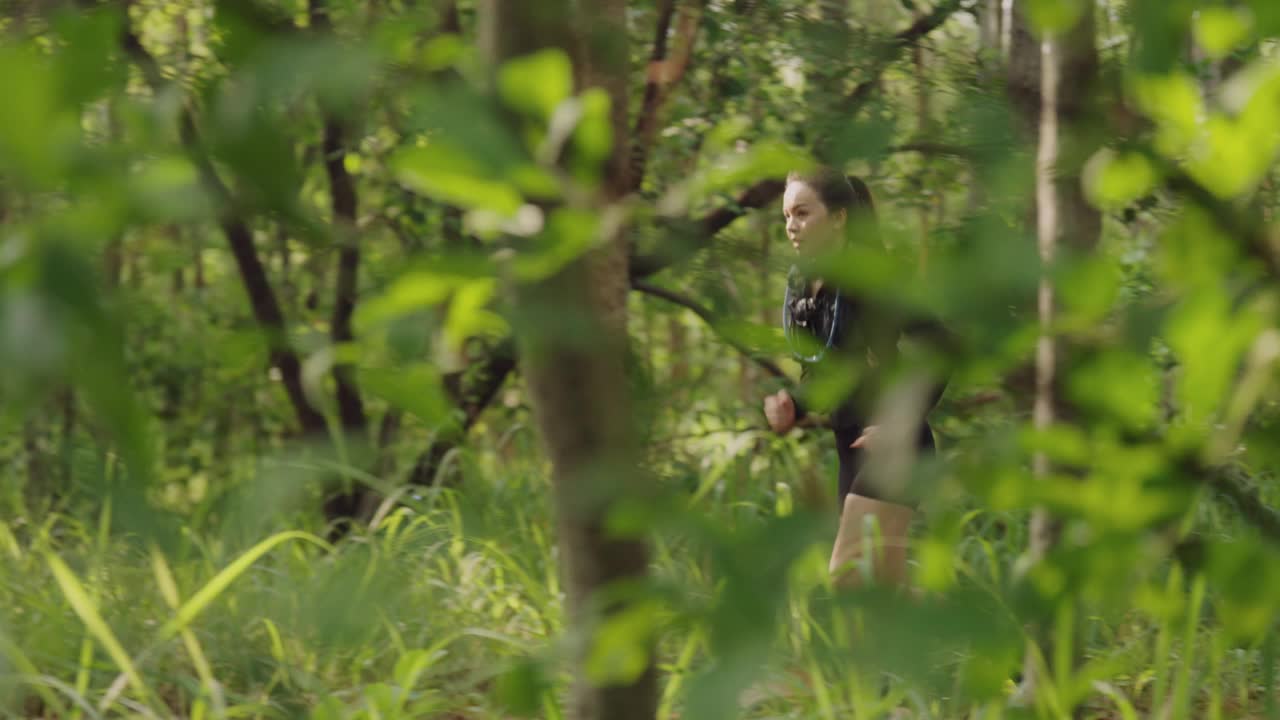一个女人正穿过一片有树和灌木的森林视频下载