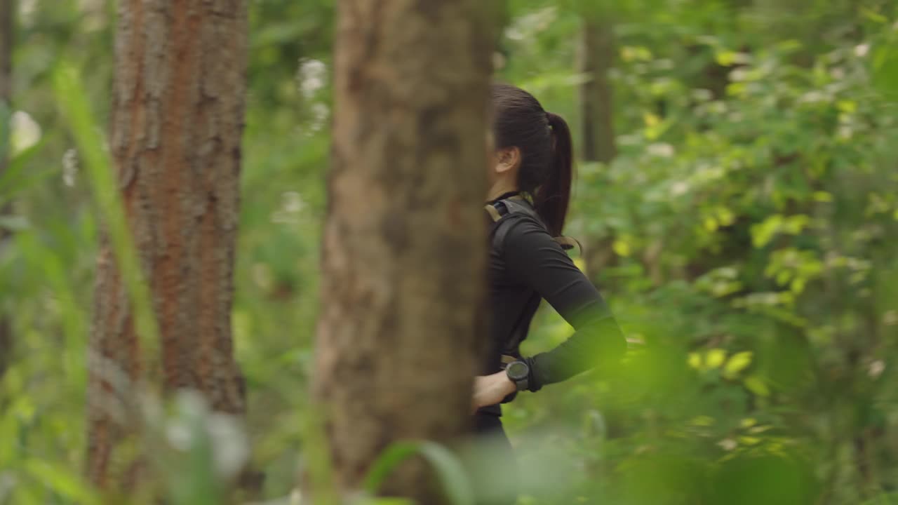 一个女人正穿过森林，背对着镜头视频下载