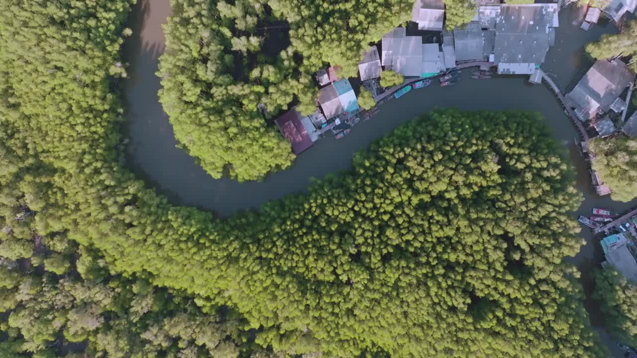 鸟瞰图红树林热带雨林的海岛与绿色的树视频素材