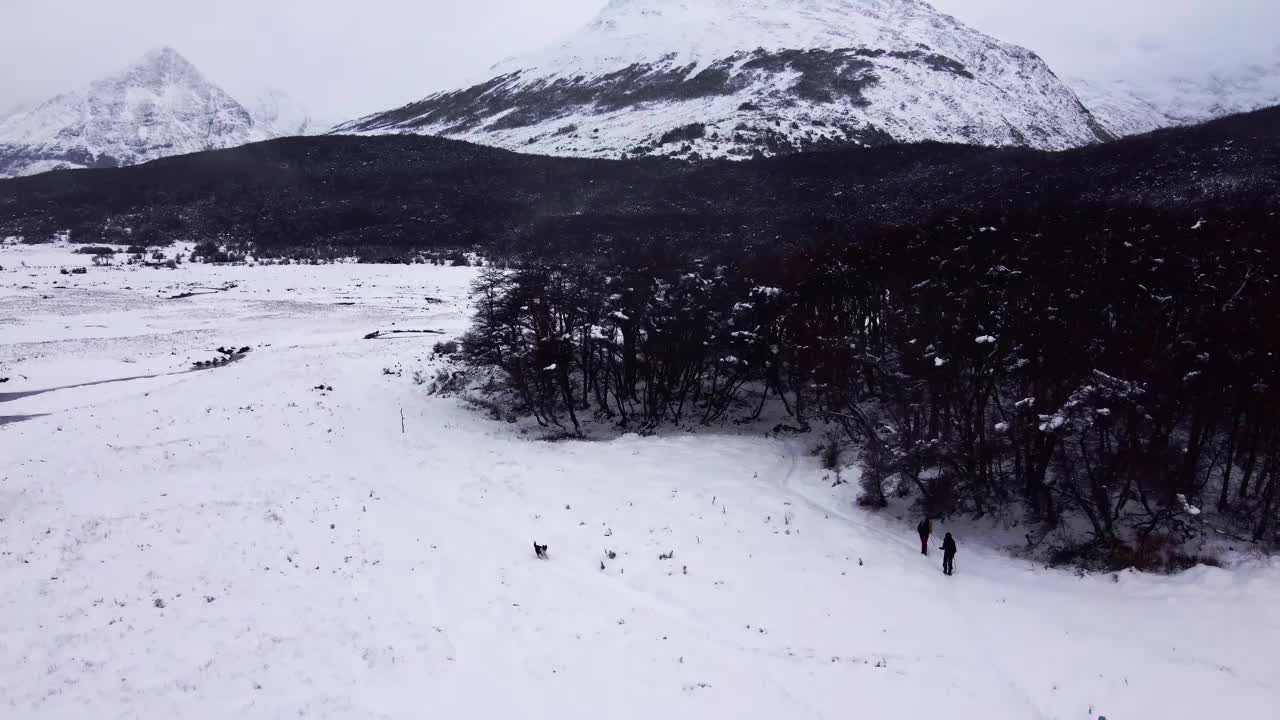 中年徒步旅行者在阿根廷火地岛马约尔山谷的翡翠湖徒步旅行。绿松石湖、山谷和森林的景色。视频下载