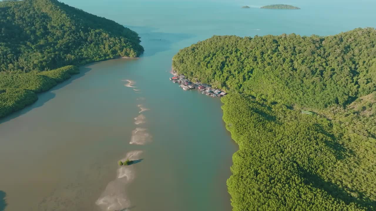 鸟瞰图红树林热带雨林的海岛与绿色的树视频素材