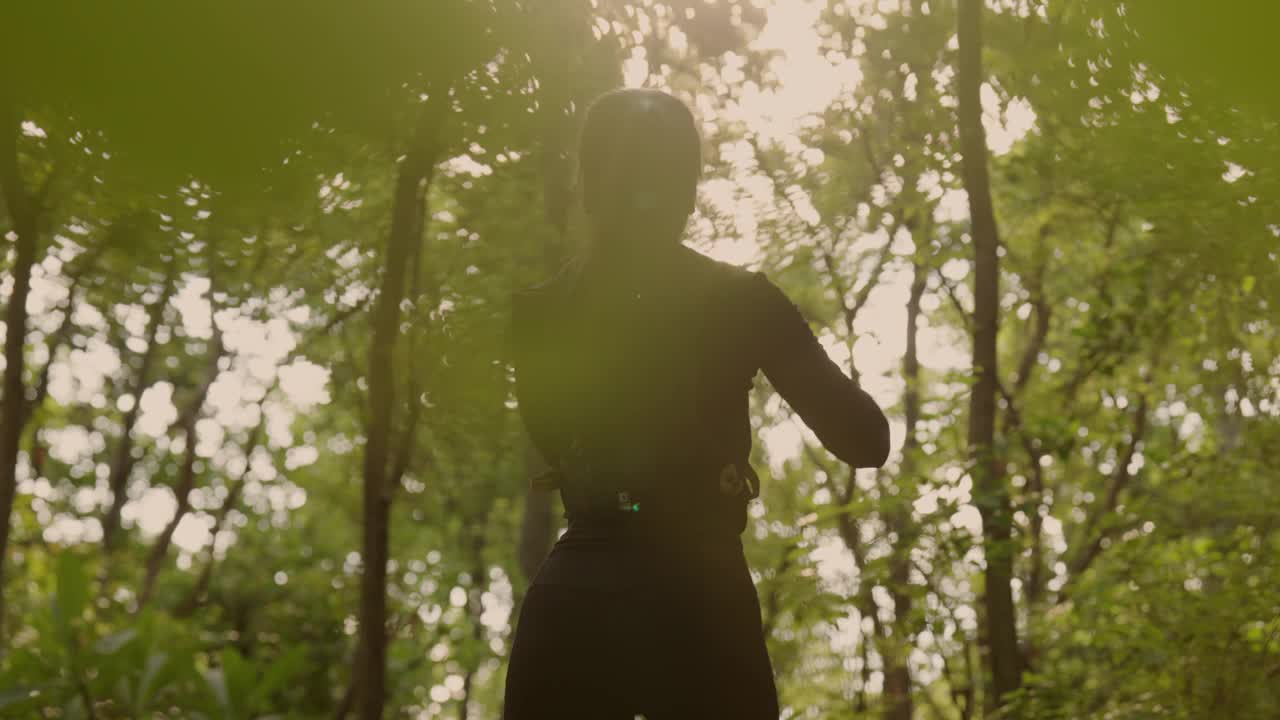 一个人正穿过森林，背景是树视频下载