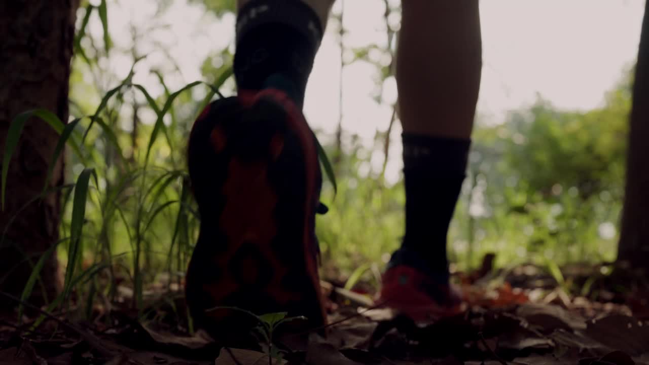 一个人正穿过森林，脚踩在草地上视频下载