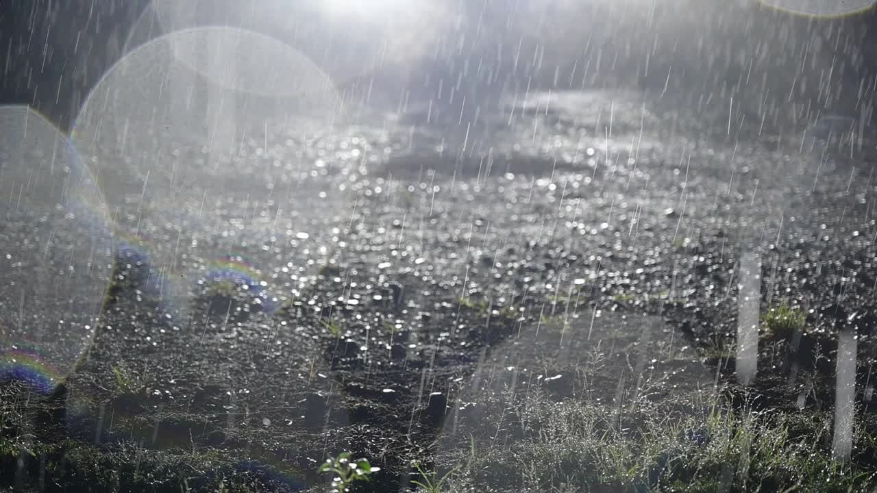 循环雨滴落阿尔法，真正的雨，高质量，慢雨，雷声，快速，夜间，戏剧性，天空滴，检查我们的页面更多的雨镜头，下降，可以用作阿尔法，阵雨，降雨视频下载