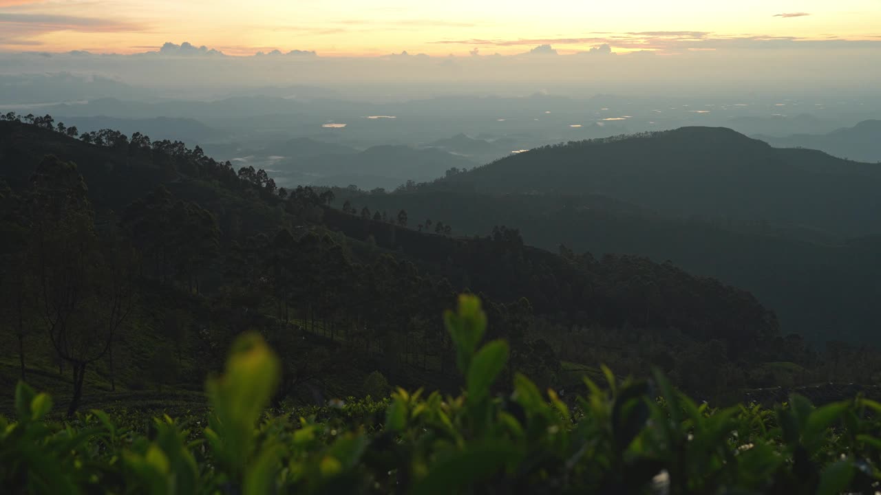 斯里兰卡茶园的风景视频素材