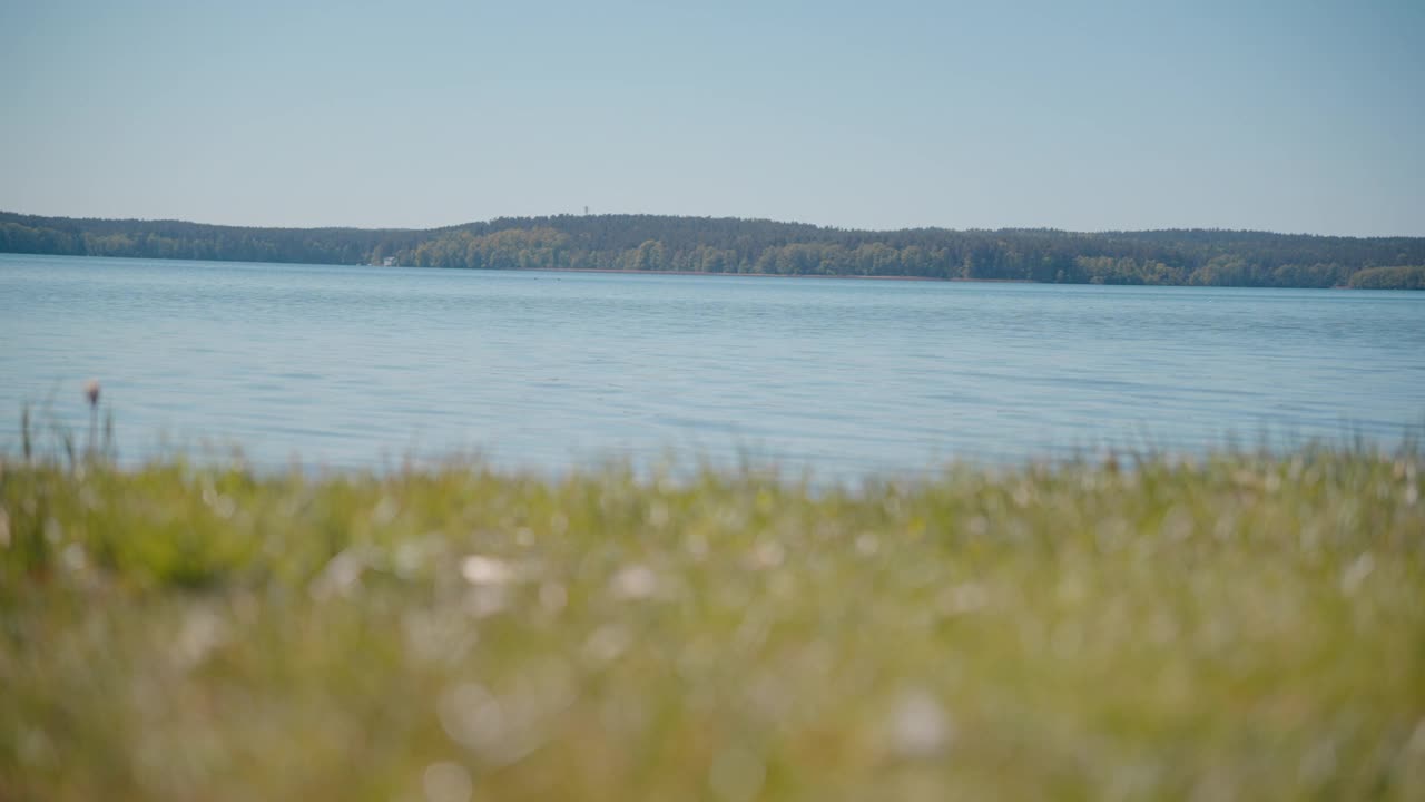 景色宁静。美丽的湖泊在乡村在初夏的早晨。过度散焦的草视频下载