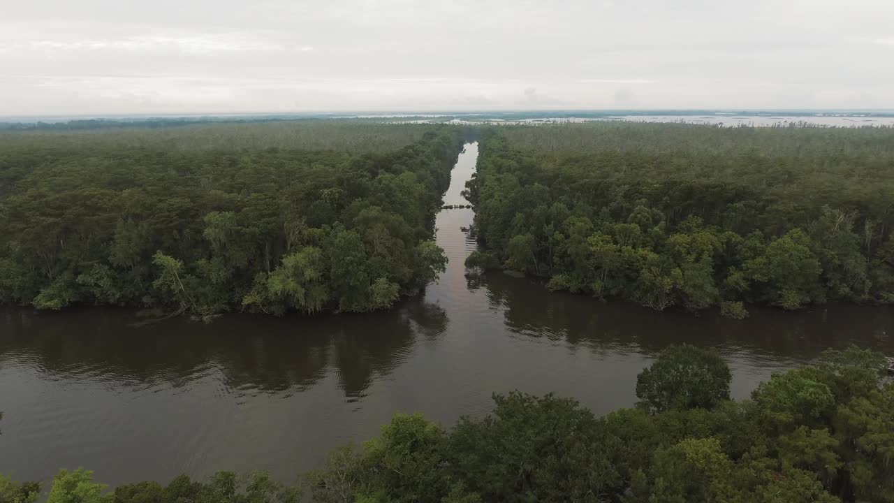 航拍船移动的波纹河溪在绿色森林- Bayou Vista，德克萨斯州视频素材