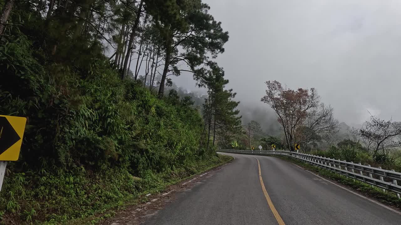 蜿蜒的道路穿过迷雾森林视频素材