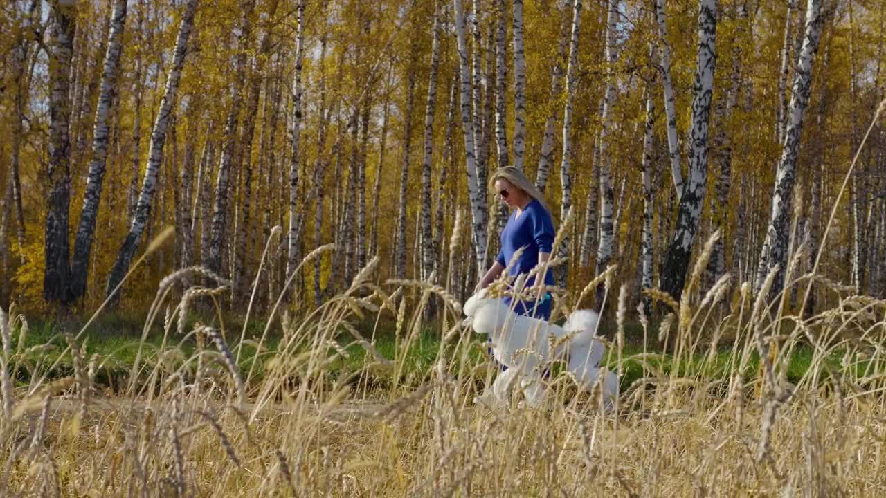 白人女孩在外面和欢快的白色贵宾犬玩耍视频素材