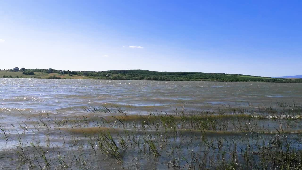 刮风天的湖面风景视频素材