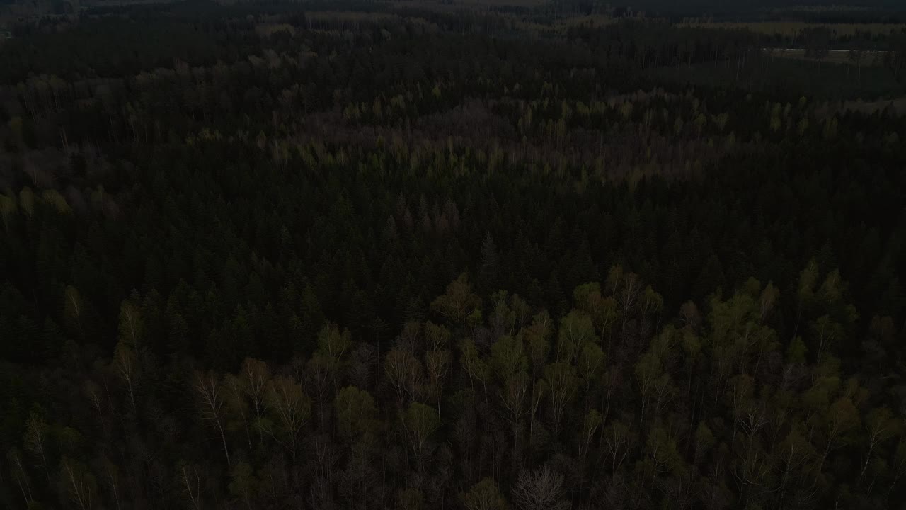 夜景鸟瞰草原和树木与积云，自然景观视频素材