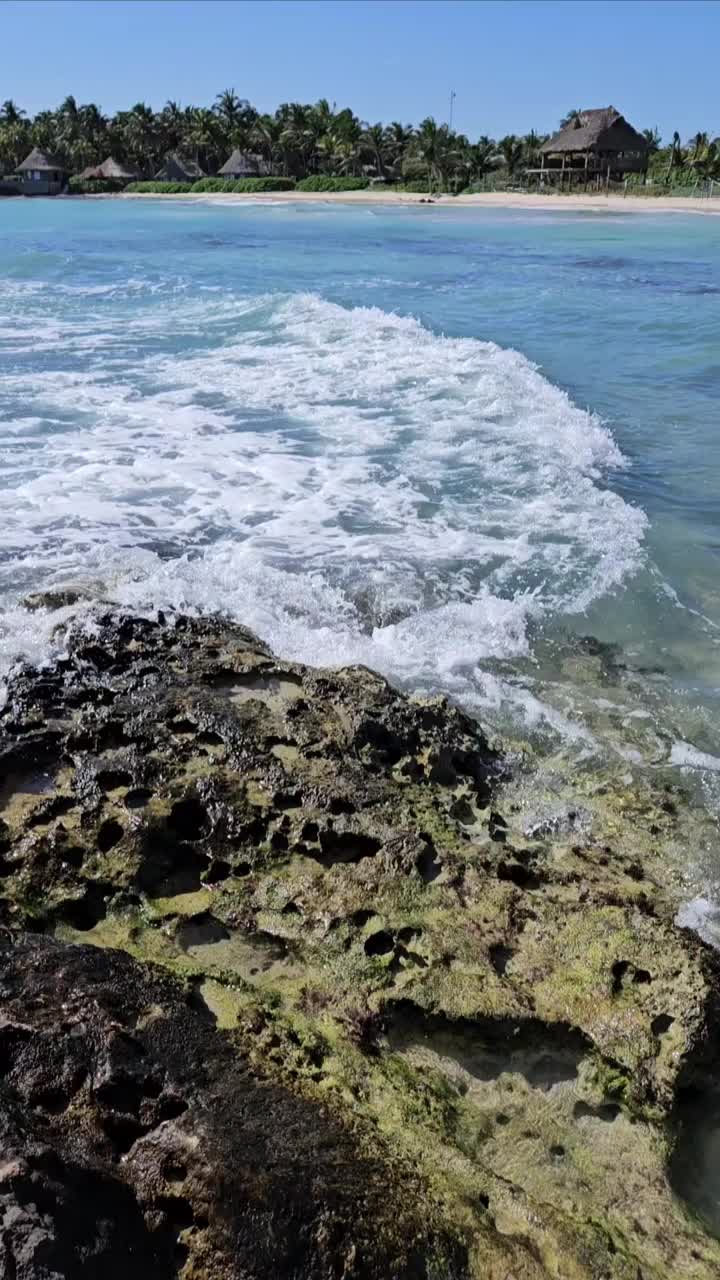 池塘特写视频下载