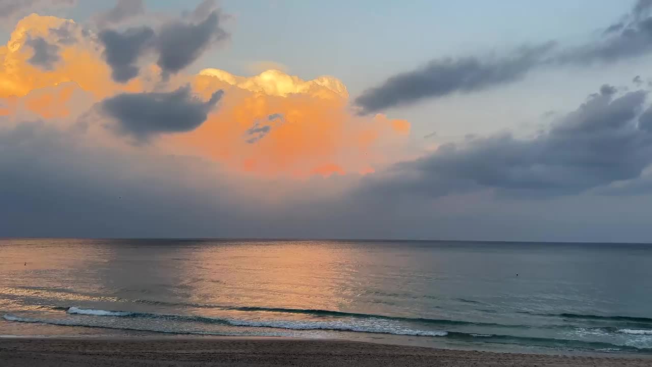 日落时棕榈树的海景视频素材