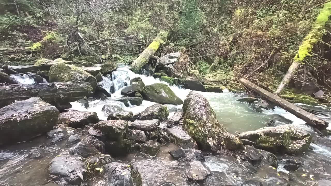 在一个多云的早晨，一条小河流经秋林，大石块和倒下的老树干挡住了河床。视频下载