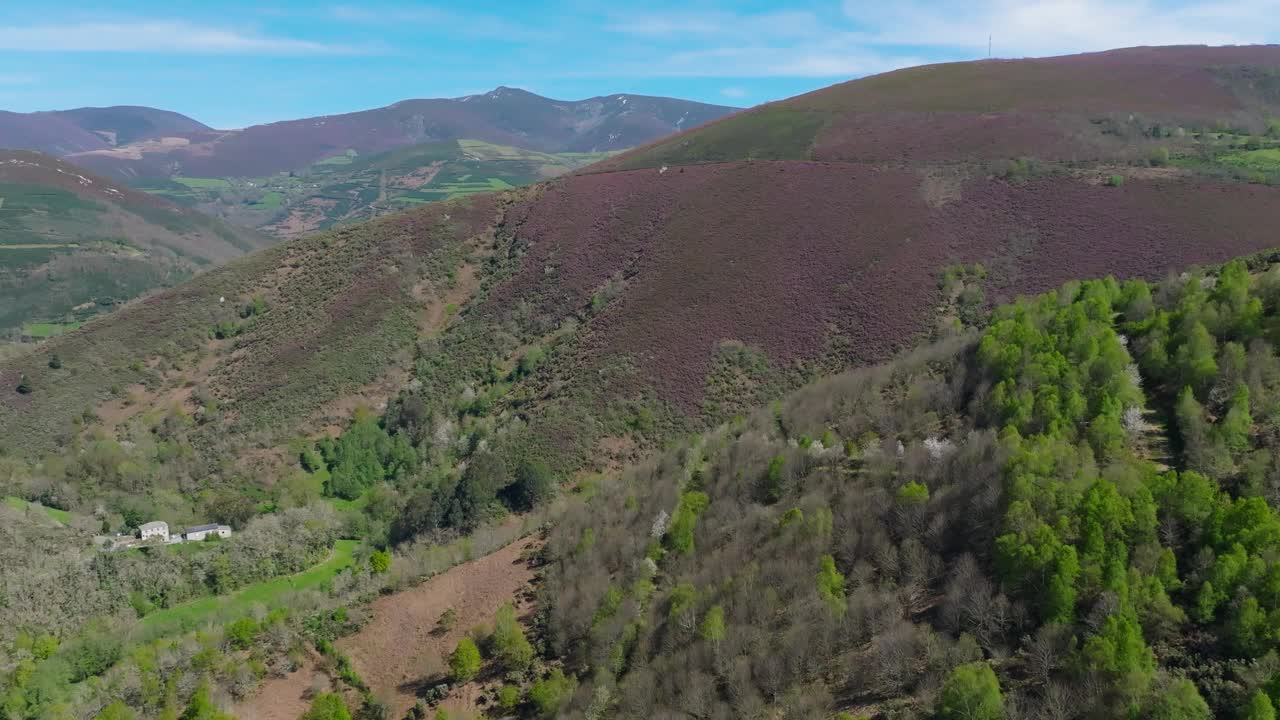 西班牙加利西亚山脉和森林的日间鸟瞰图。视频素材