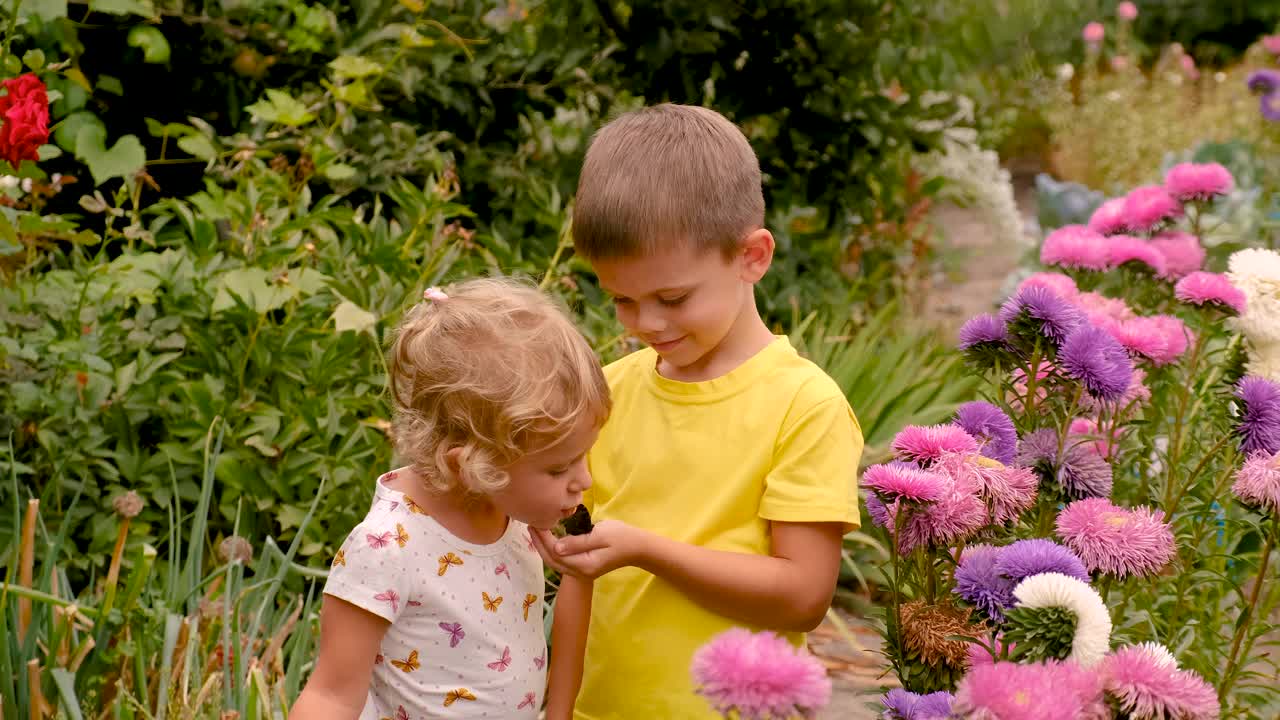 孩子在花园里玩蝴蝶。有选择性的重点。孩子。视频素材