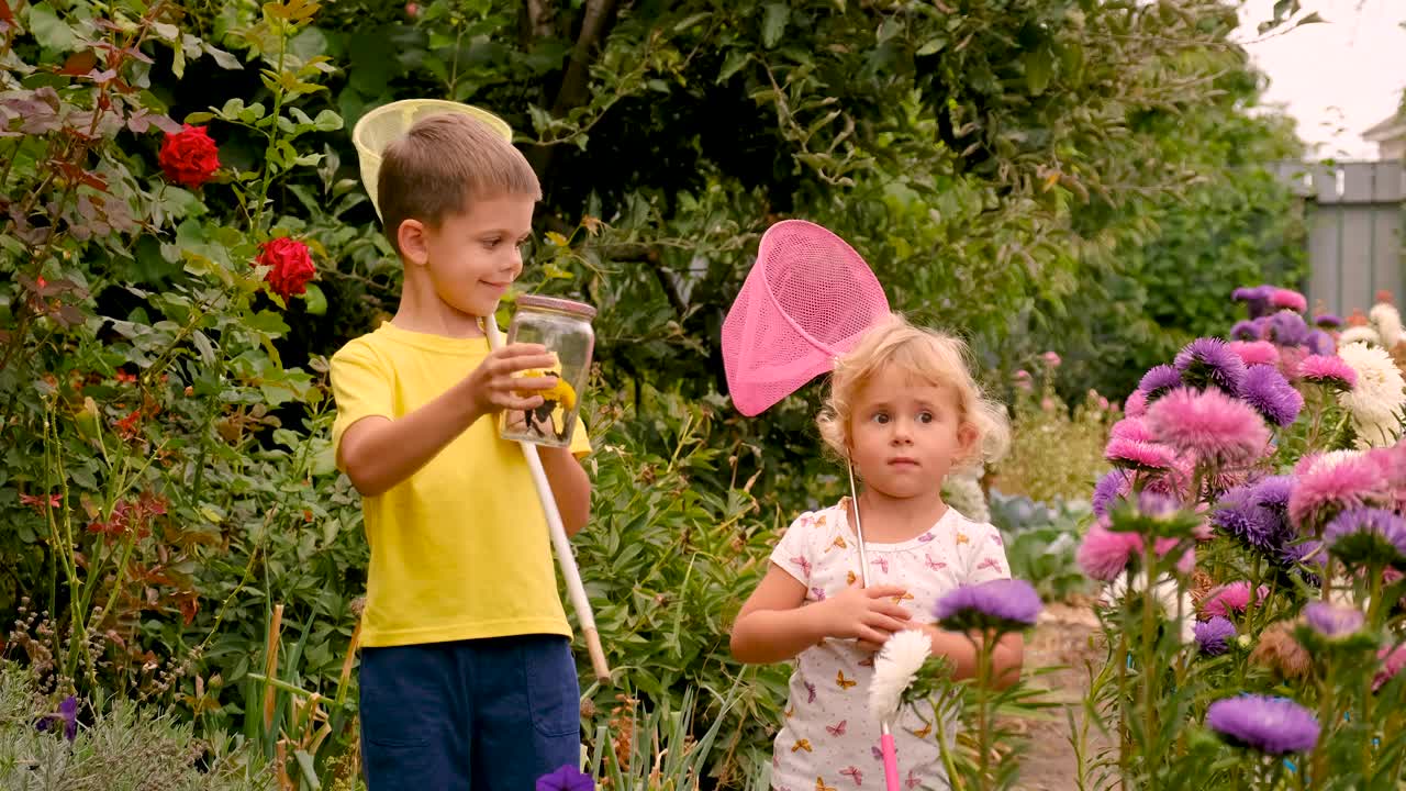孩子在花园里玩蝴蝶。有选择性的重点。孩子。视频素材