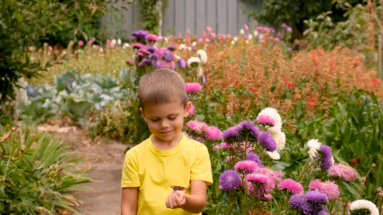孩子在花园里玩蝴蝶。有选择性的重点。孩子。视频下载