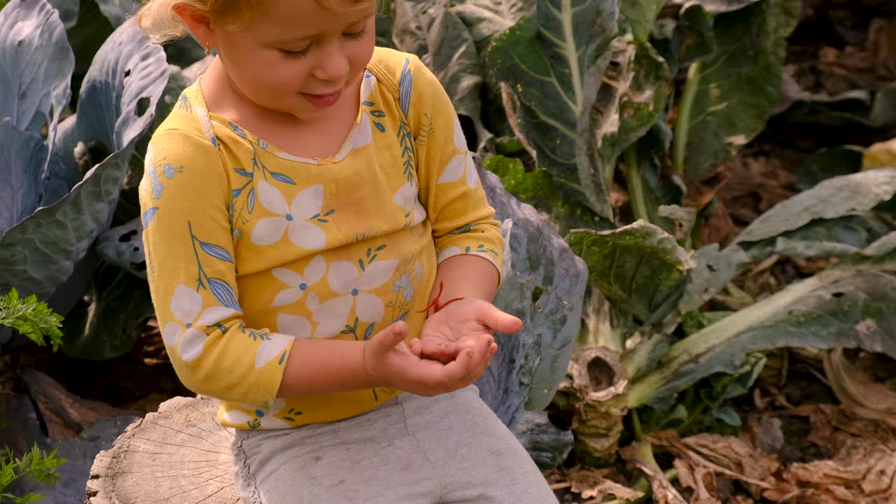 孩子和瓢虫在花园里玩耍。有选择性的重点。孩子。视频下载