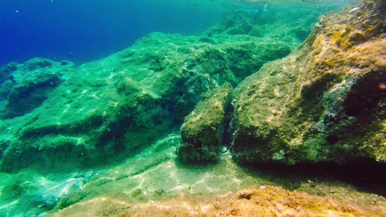 阳光明媚的夏日，亚得里亚海的海底。视频素材