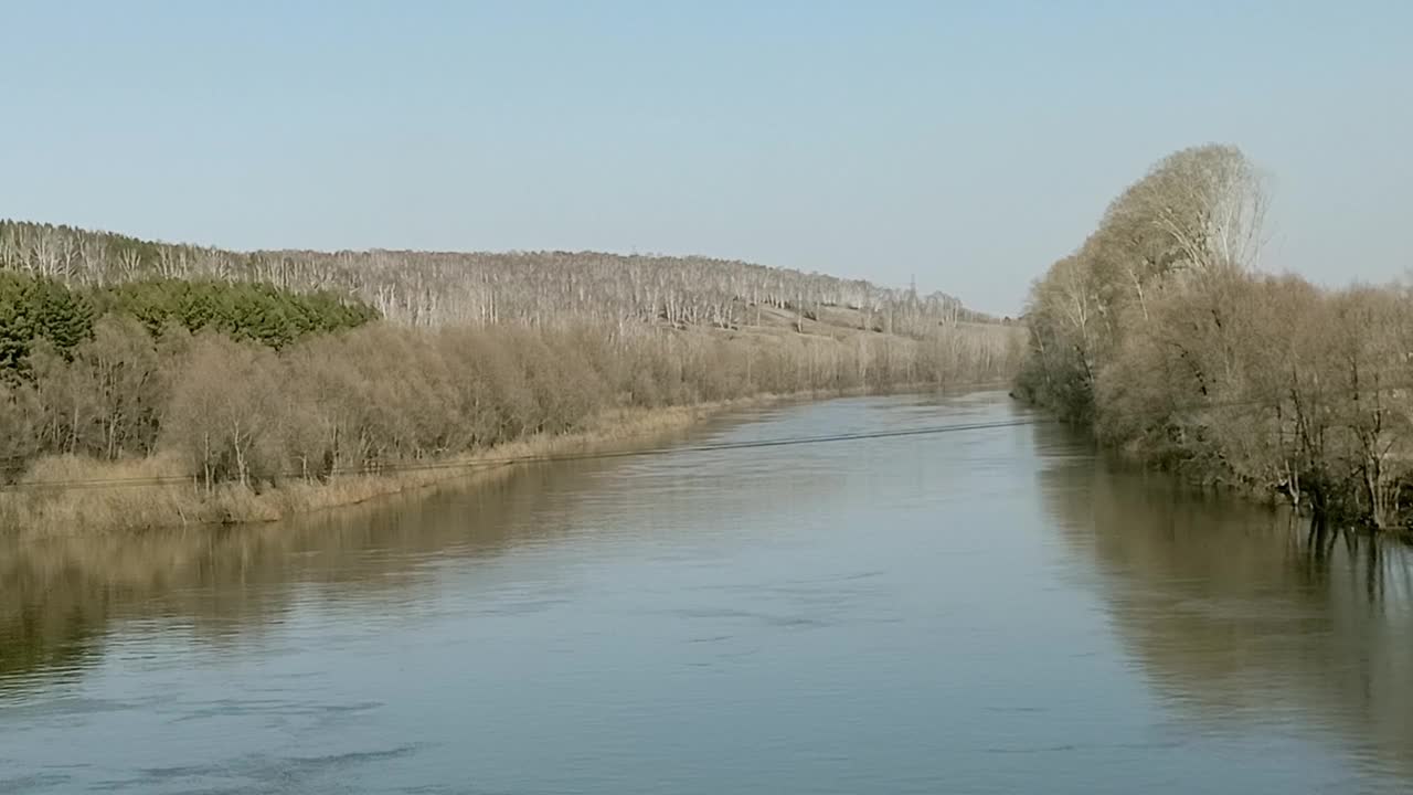 清泉:在一个清泉的傍晚，一条小河平静的水面，平静地流过被高大的灌木和树木环绕的山谷视频下载