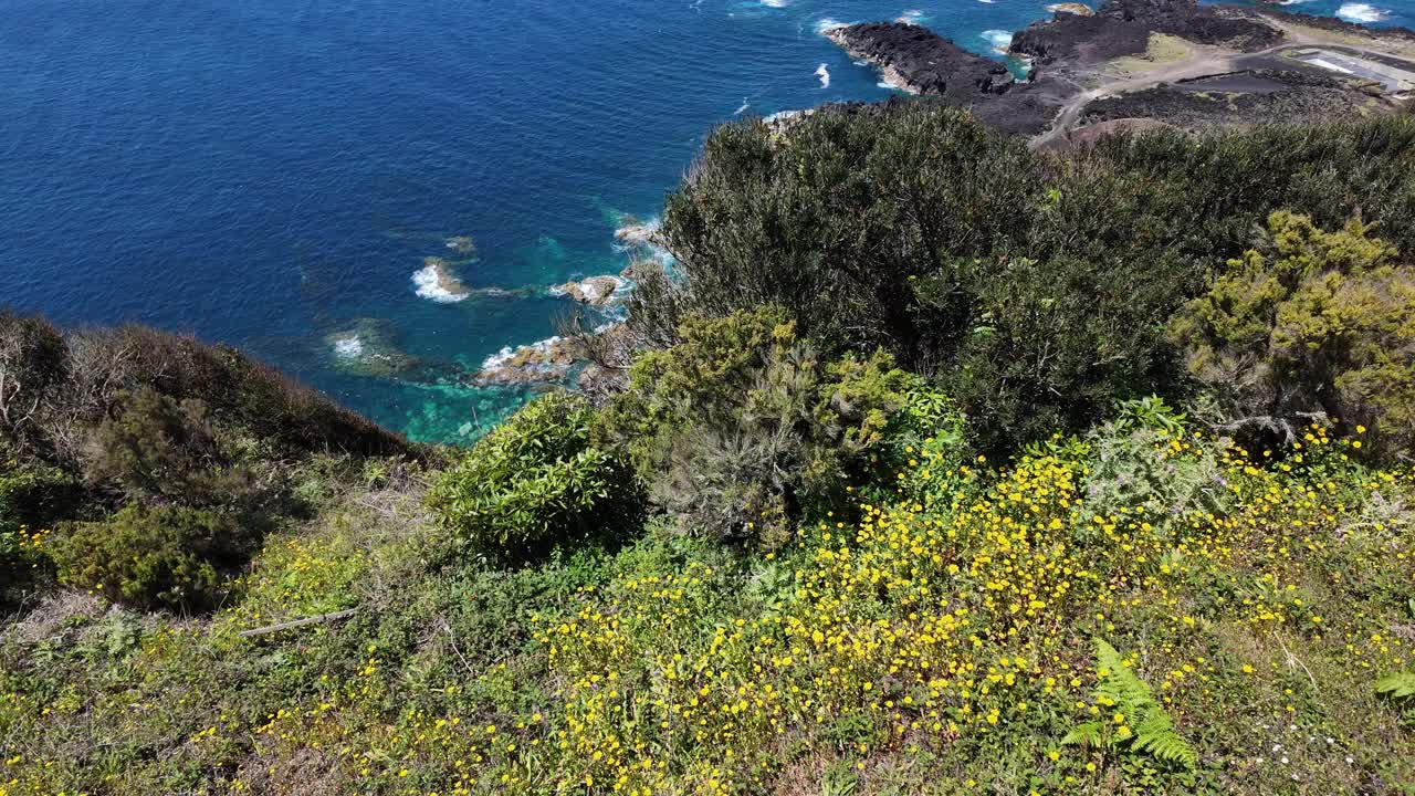 蓬塔达费拉里亚，圣米格尔，亚速尔群岛充满活力的沿海鲜花，鸟瞰图视频素材