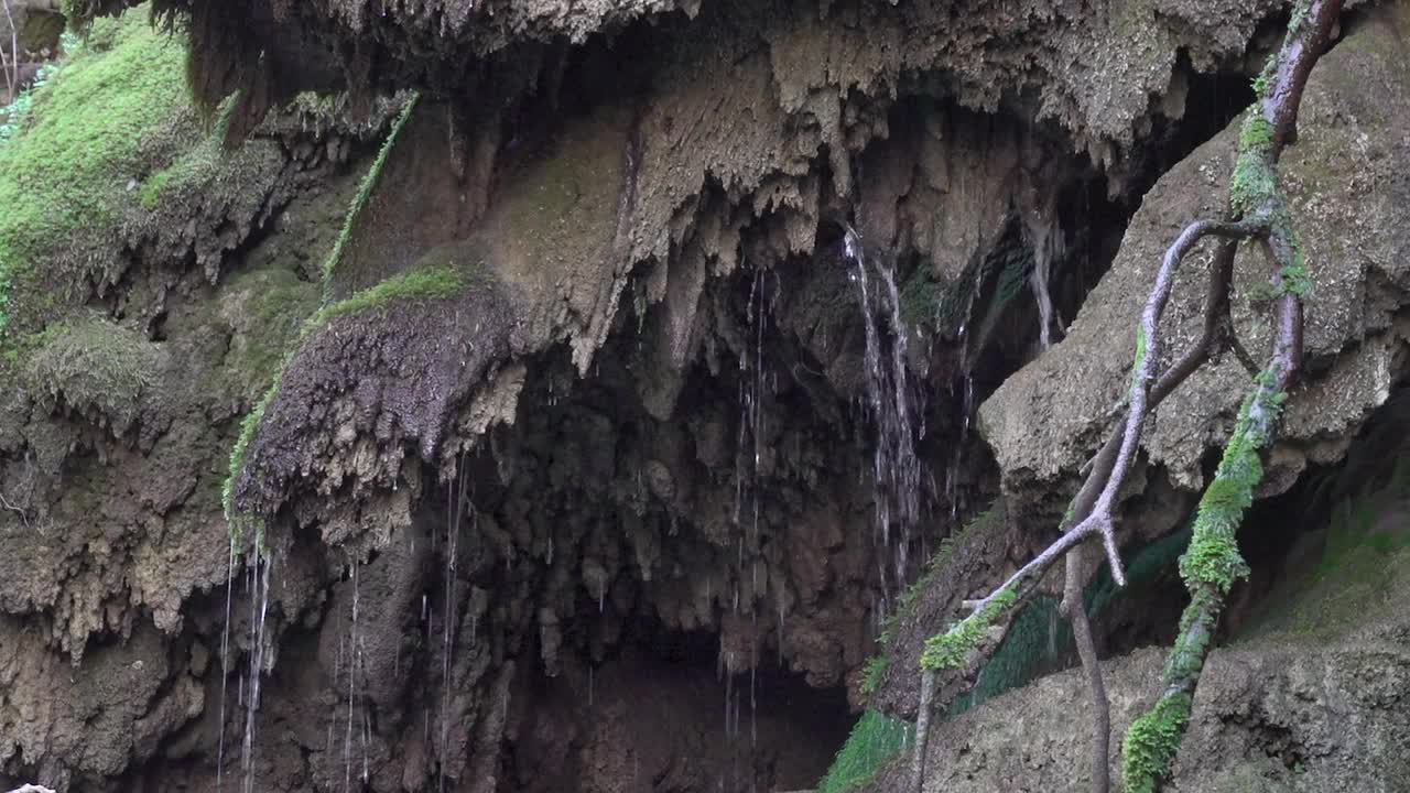 水滴从长满青苔的山坡上落下视频素材