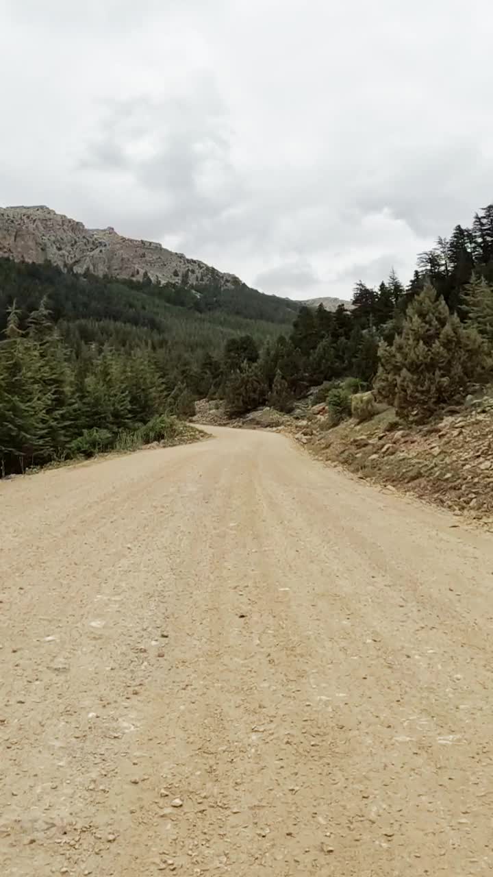 体验蜿蜒的土路，因为它蜿蜒穿过茂密的森林与高耸的山脉为背景视频素材