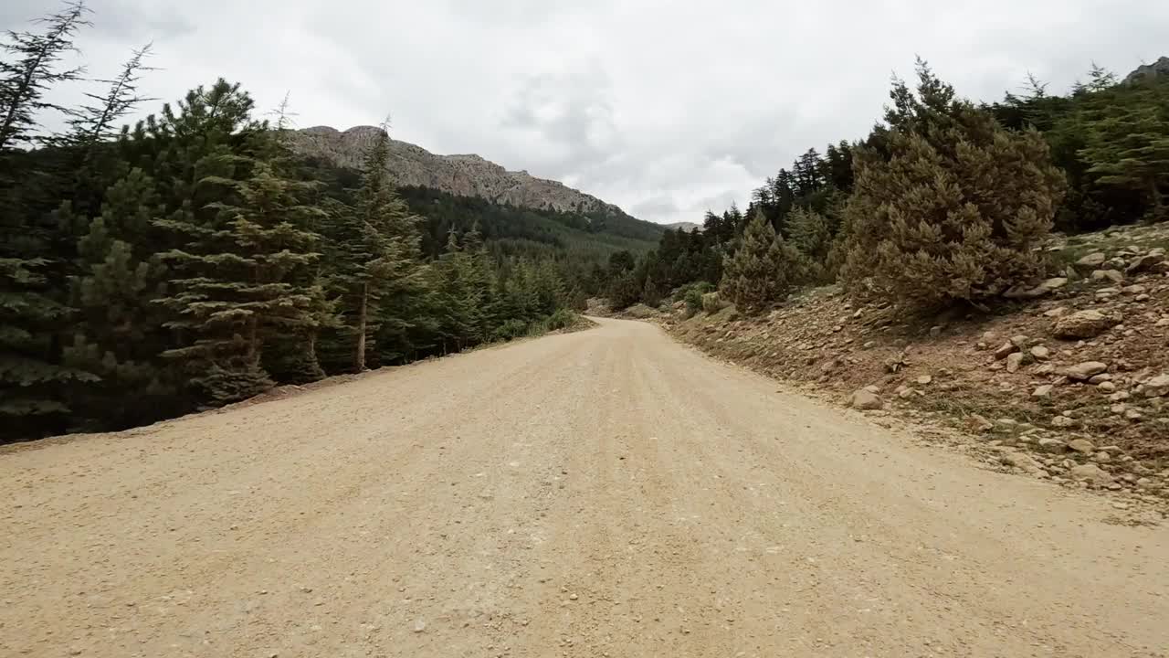 体验蜿蜒的土路，因为它蜿蜒穿过茂密的森林与高耸的山脉为背景视频素材