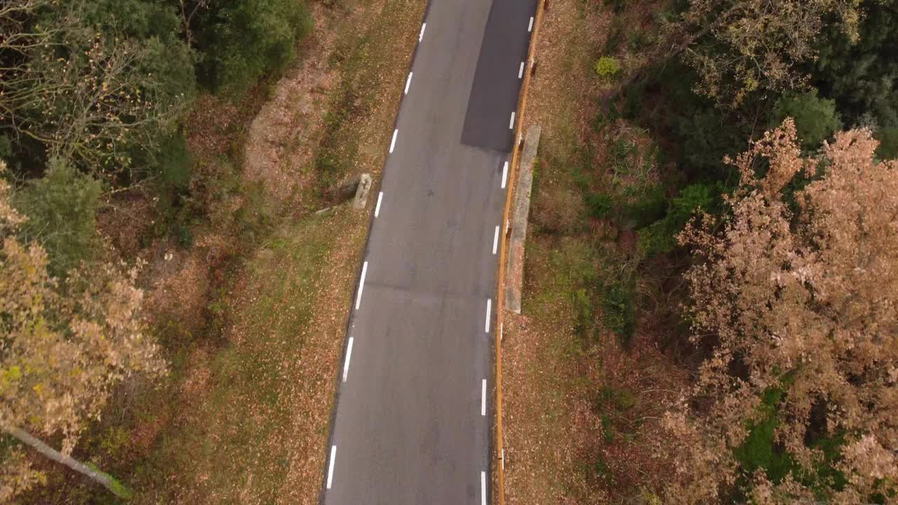 巴塞罗那奥索纳森林中的一条空旷的道路，鸟瞰图显示出宁静、不受干扰的景观视频素材