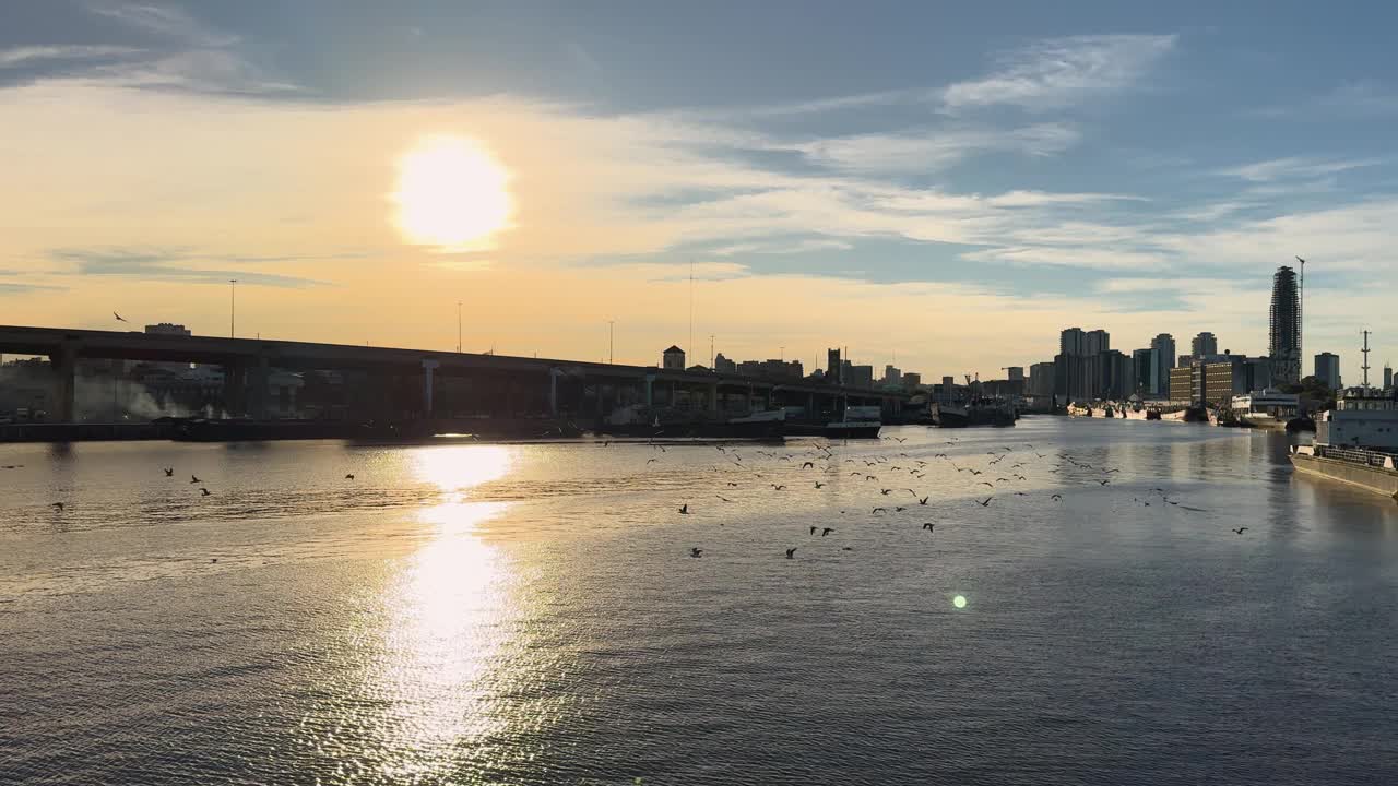 日落时分，在布宜诺斯艾利斯的港口，海鸥飞过水面。一个安静的夜晚，背景是城市的天际线视频素材