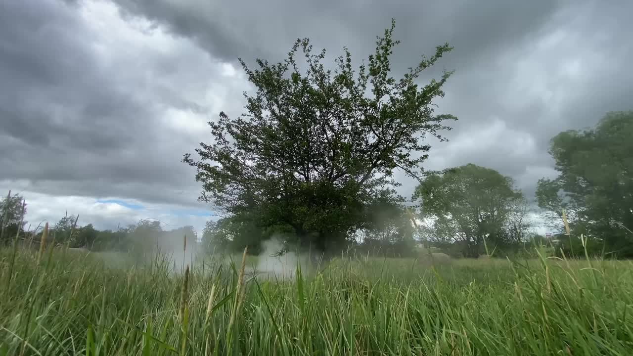 树立在草地上，雾从底部飘来。捷克景观视频下载