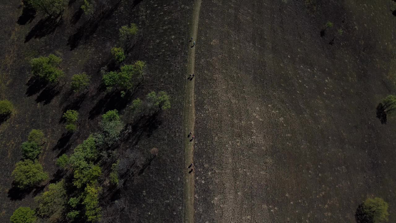 缓慢的无人机飞行在徒步旅行者穿越美丽的绿色山丘，平原和森林视频素材